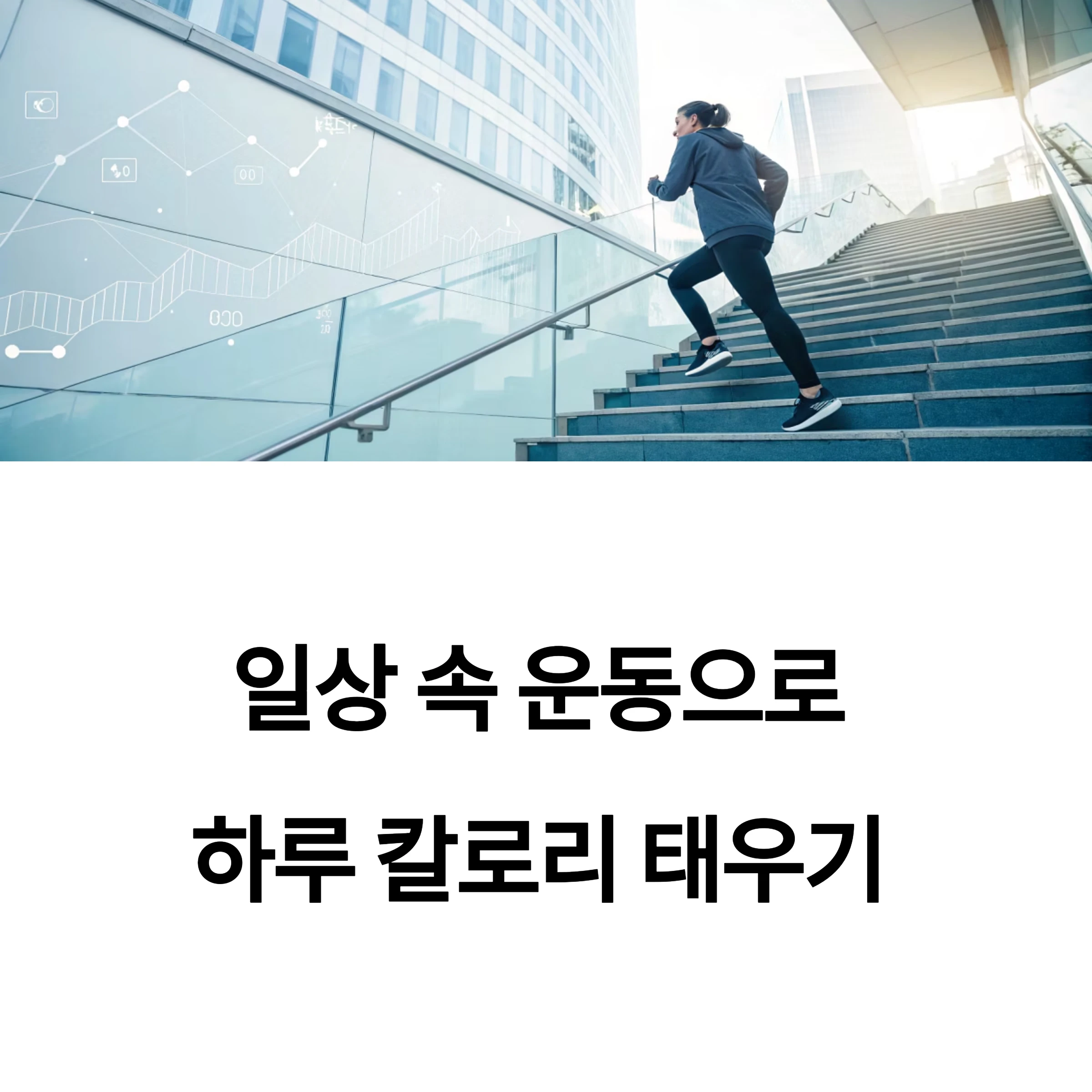 일상속운동
