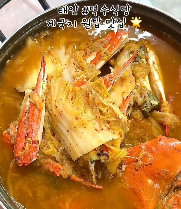 전현무계획-태안-게국지-간장게장-덕수식당-노키즈존