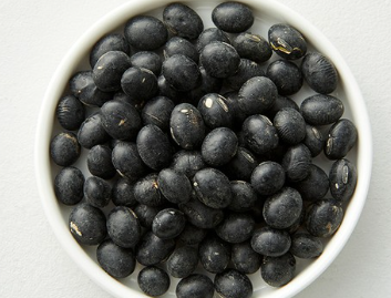 서리태 파종시기의 실수 사례 2