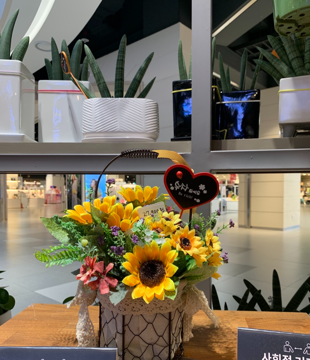 용인 기흥 롯데 아울렛 꽃