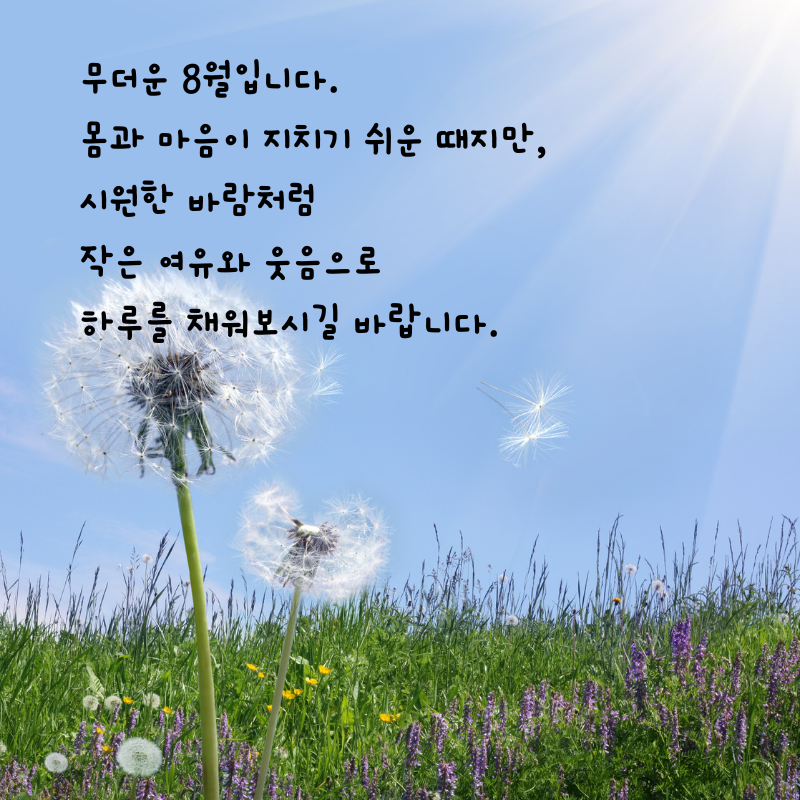 8월 인사말 카톡 문자 메세지 안부 이미지 모음집
