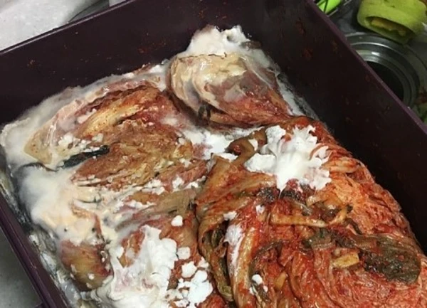 골마지 김치 곰팡이