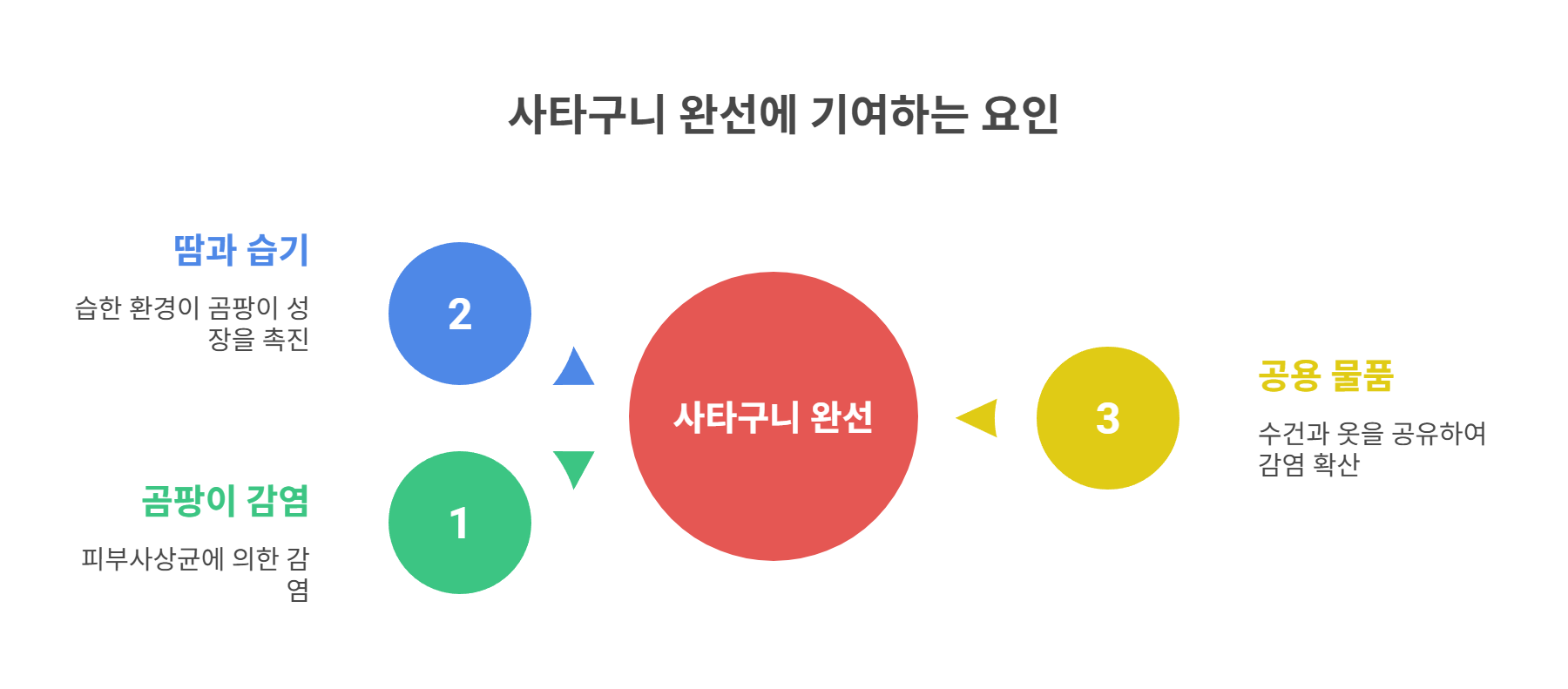 사타구니 완선이 생기는 원인