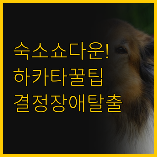 숙소 비교로 완성하는 나만의 하카타 ..