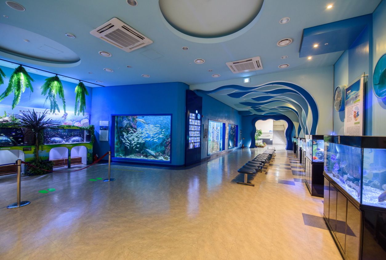 장생포 고래생태체험관