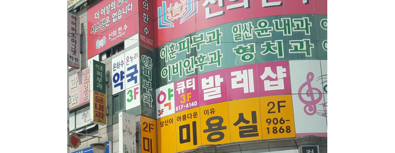 고양 일산동구 고지혈증