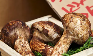 9월 제철 음식, 9월 제철 해산물