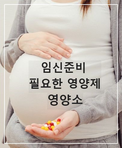 임신준비 필요한 영양제 영양소