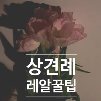 상견례 대화 부모들 인사말_12