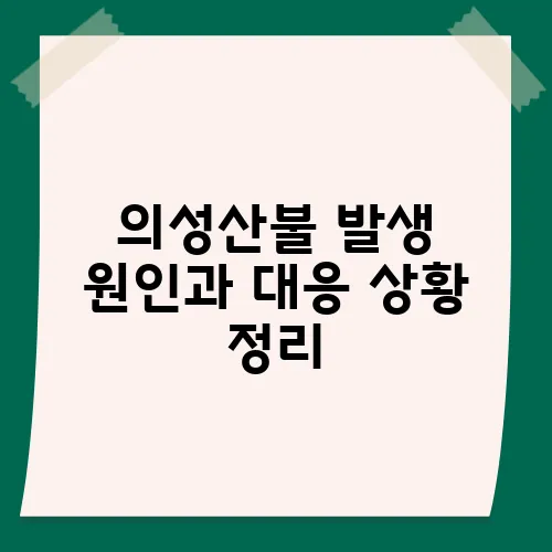 의성산불 발생 원인과 대응 상황 정리