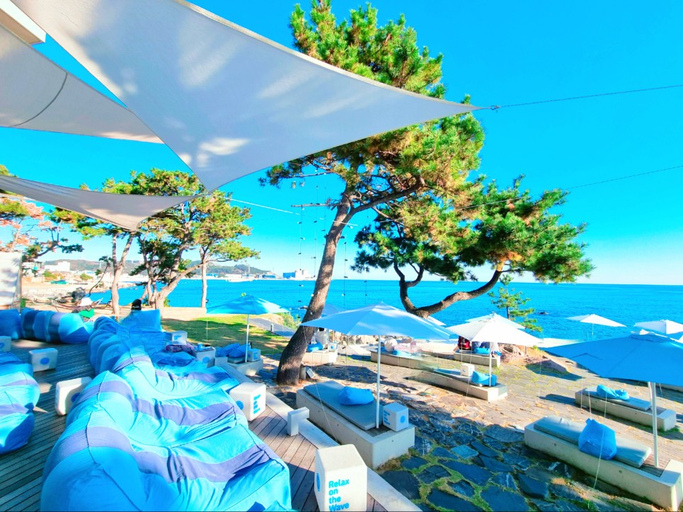 부산 기장 웨이브온 카페: 설명이 필요 없는 오션뷰 원탑