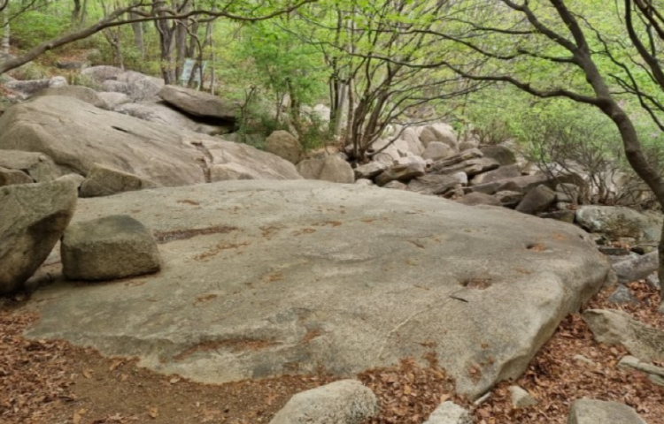 금정산 등산코스