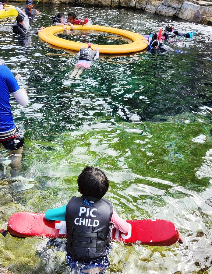 노란 구조물 쪽으로 안내해주며 스노우쿨링을 즐기는 모습