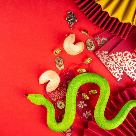 2025년 삼재띠 대박띠