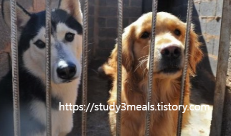 보상금 지급 승인까지 약 1~2주 