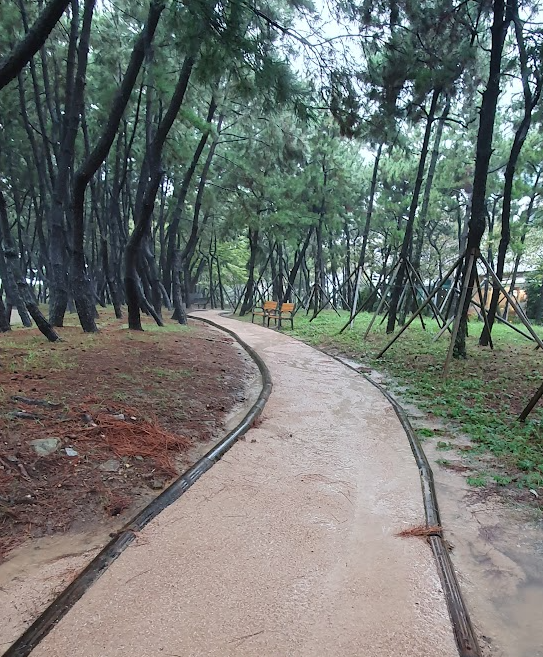 황톳길 맨발 걷기 : 건강 효과와 올바른 방법