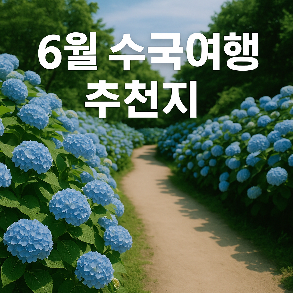 6월 수국여행지