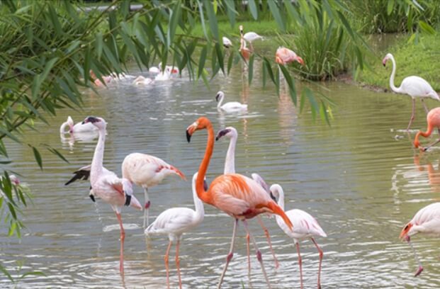 순천만국가정원(3)