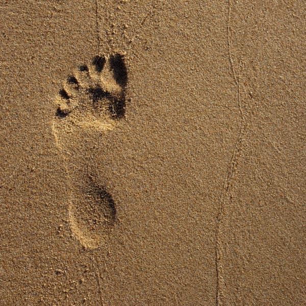 탄소 발자국이란, 탄소 발자국 줄이는 방법