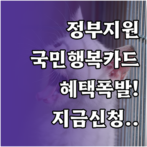 국민행복카드 정부 지원 혜택 유형 확..