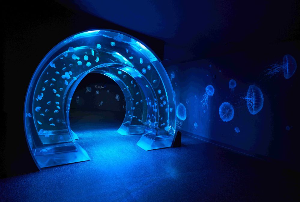 아쿠아플라넷 일산