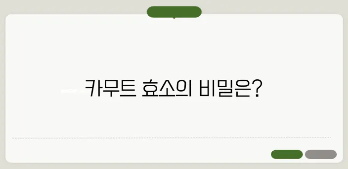 카무트 효소 효능 먹는 방법 부작용까지 정리
