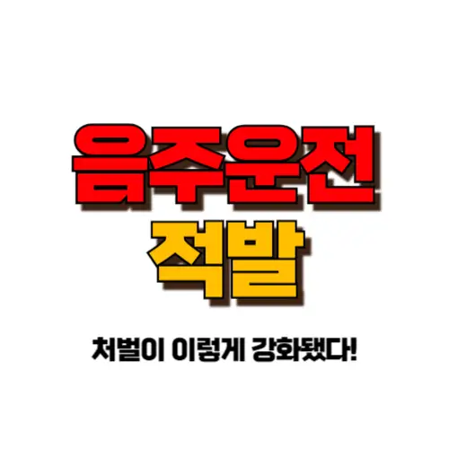 음주운전 적발 썸네일