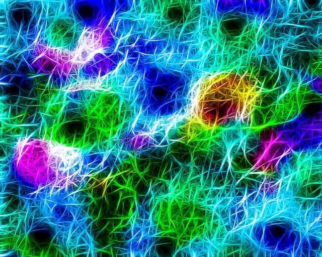 HSP 테스트 방법 및 정보 