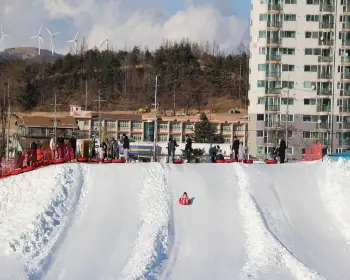 대관령 눈꽃축제_12