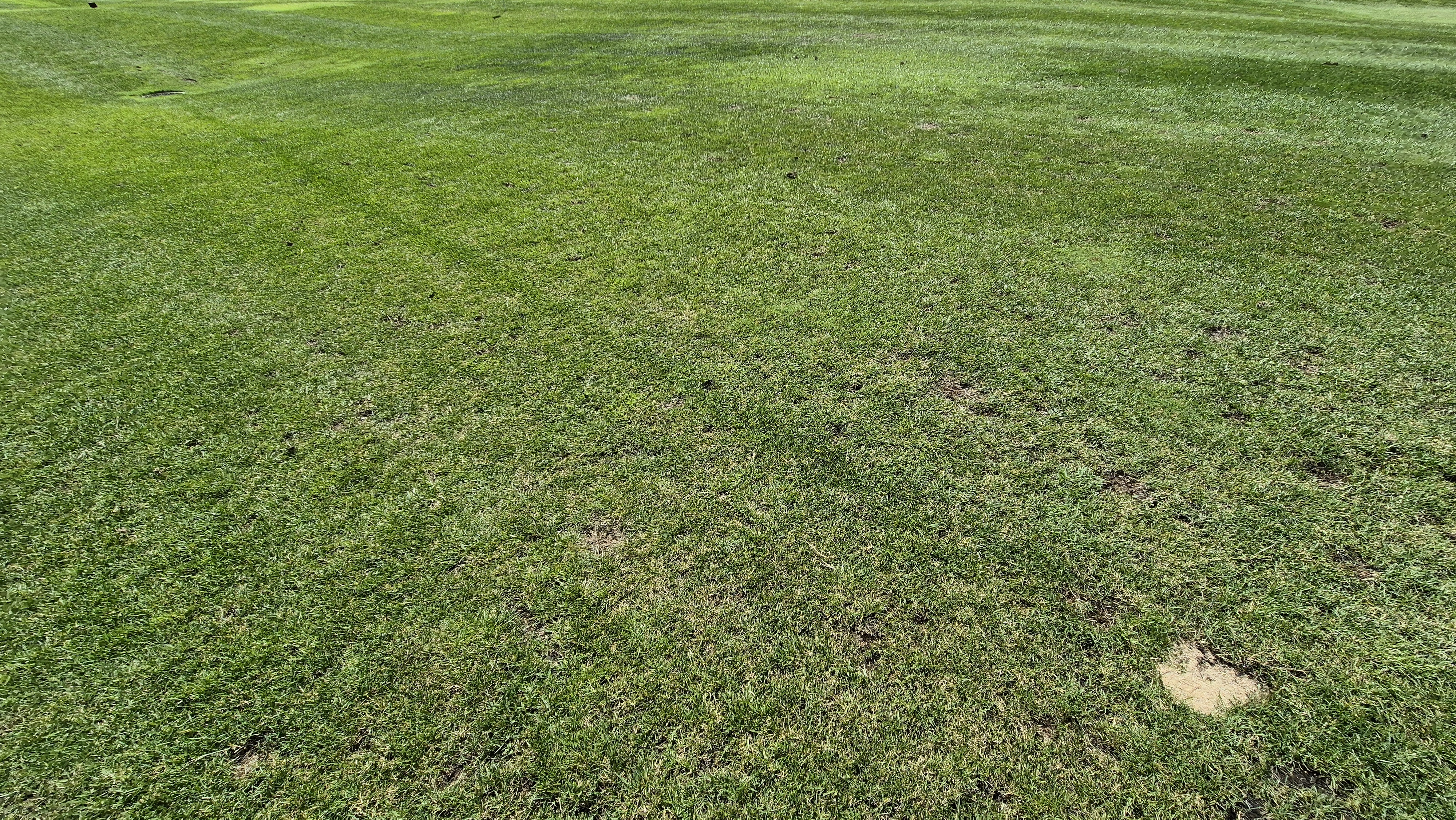 마론cc 라운드 후기