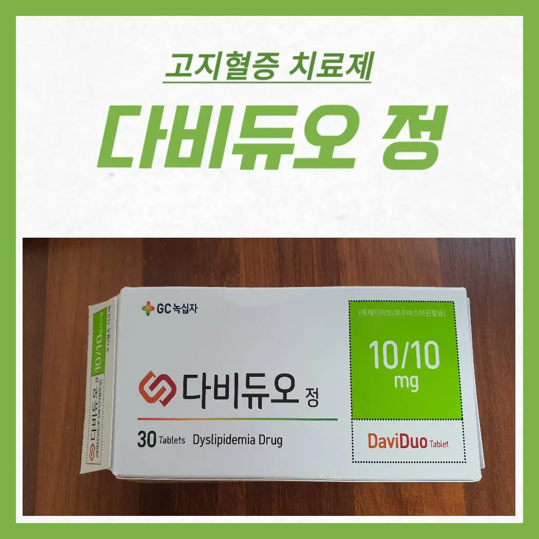 다비듀오정