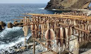 22회 울릉도 오징어 축제 기본일정과 특징 소개 한혜진 김범룡 양혜승 전미경 강민주 김충훈 김추리 정혜린 강설민 문초희 오징어콘서트 지원이 이수호 싸비 출연