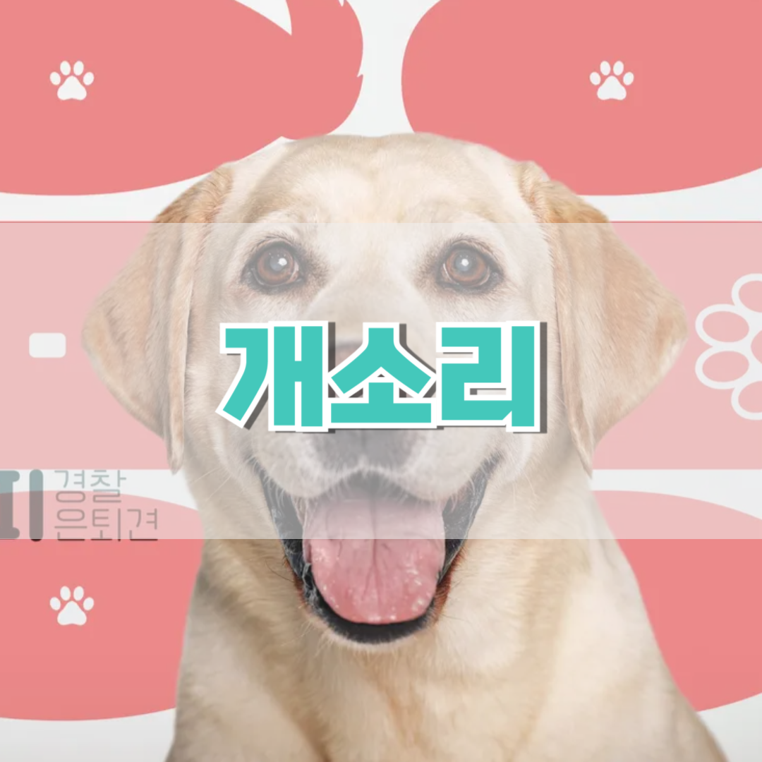 개소리