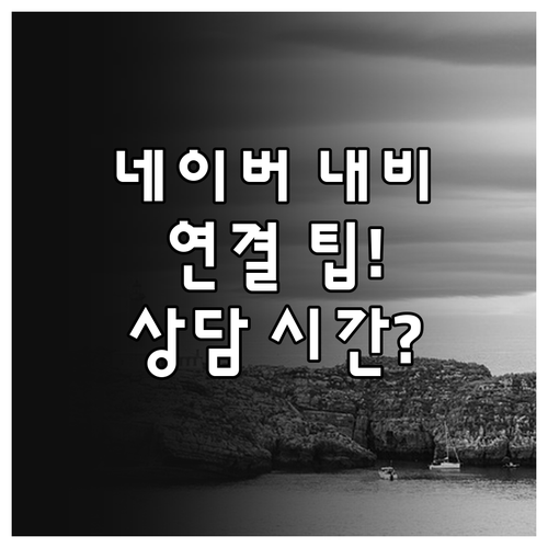 네이버 내비 고객센터 1588-382..