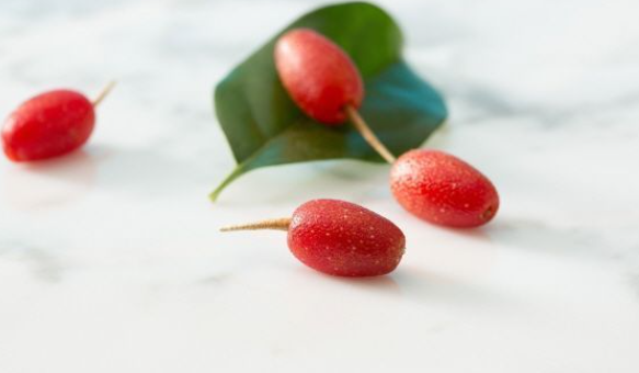 보리수 열매 효능