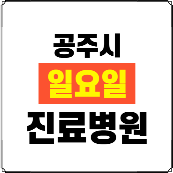 공주시 일요일 진료병원 찾기 ❘ 24시 휴일 주말 응급 야간 심야 문여는 병원