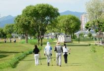 양평파크골프장 예약