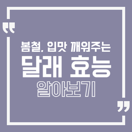 봄철, 입맛 깨워주는 달래 효능 알아보기 썸네일