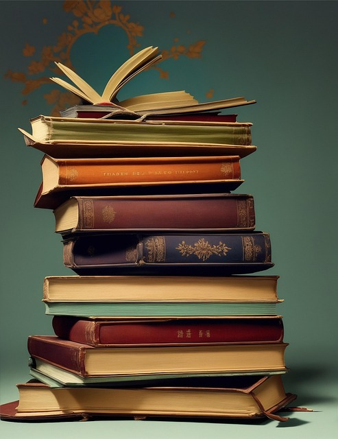 문과 전공 서적 사진