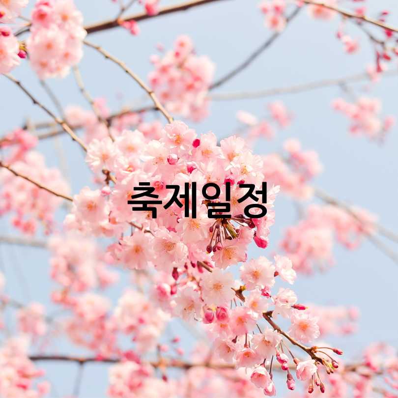 2025 정읍벚꽃축제