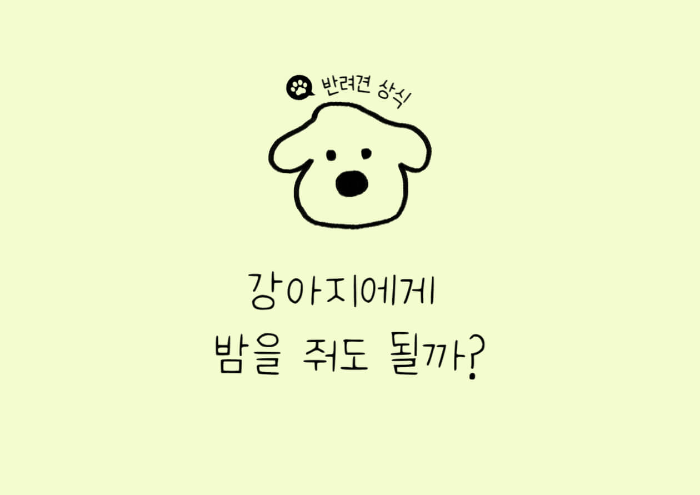 강아지에게 밤, 밤 급여, 강아지 밤, 강아지 밤 주의사항, 강아지 생밤, 강아지 밤 간식