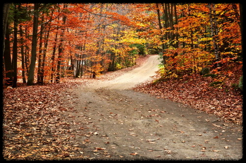 2024 가을, 국내 단풍 명소 추천: 절정 시기와 여행 팁까지 완벽 가이드
