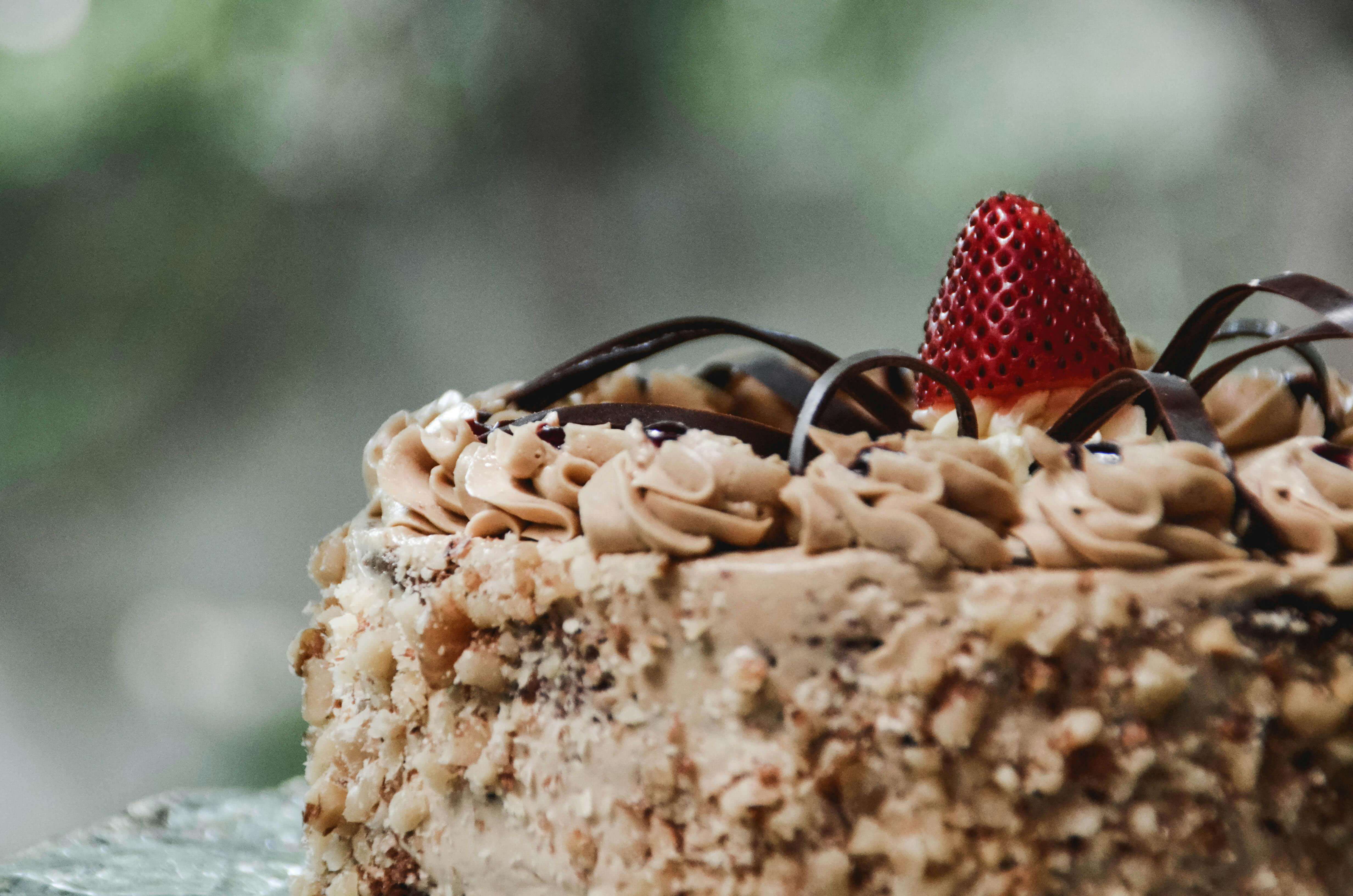 벌레 꿈 해몽 풀이