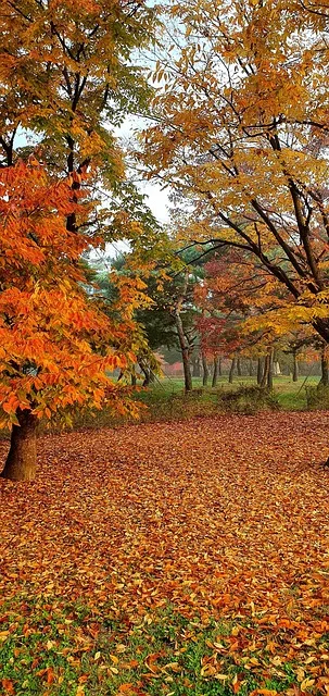 일산 가볼만한곳 베스트10 숨겨진 명소_3