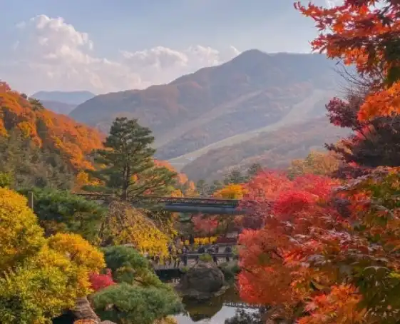 4월5월 꽃구경 명소