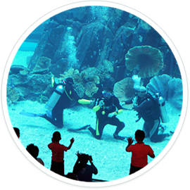 2024학년도수험생할인혜택총정리