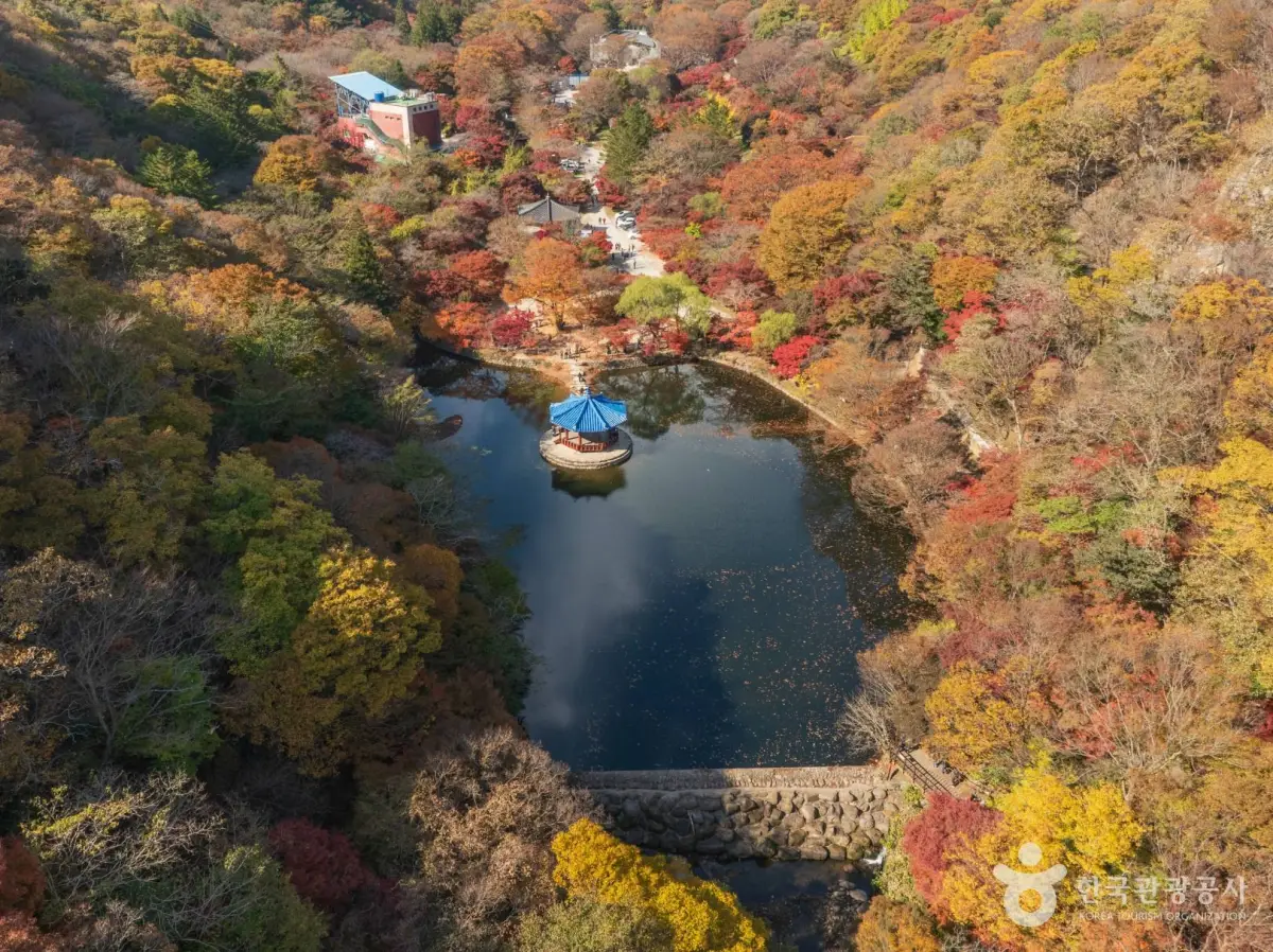내장산-연못