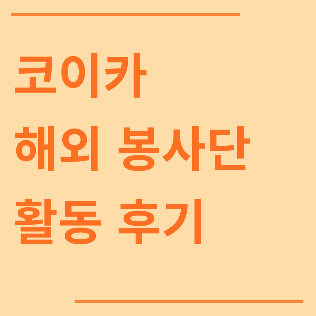 코이카 해외 봉사단 모집 요강 지원 방법과 활동 후기