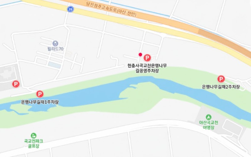 가을 드라이브 명소, 아산 곡교천 은행나무길 완벽 방문 가이드: 주차&middot;자