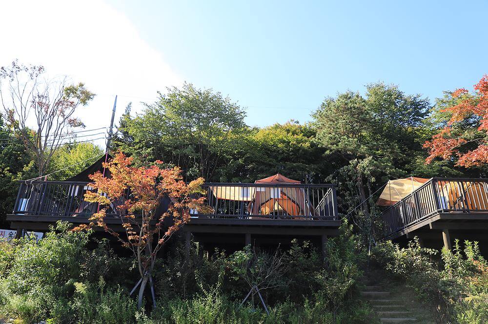 서울 근교 단풍 캠핑 명소 총정리 : 숲속 감성 100% 캠핑장 BEST 5_초안산 캠핑장